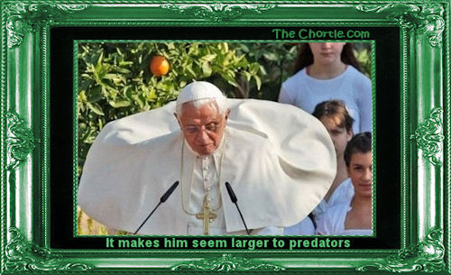 It makes his seem larger to predators