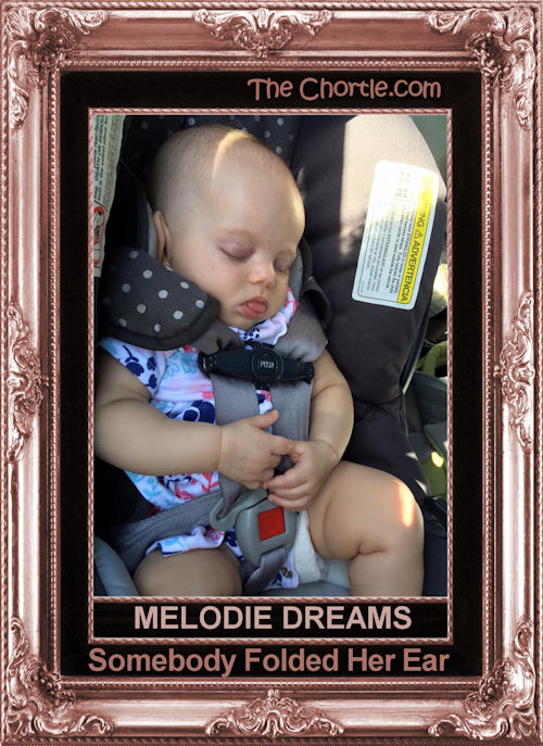 Melodie dreams somebody folded her ear.