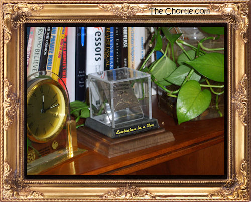 Evolution in a Box #1