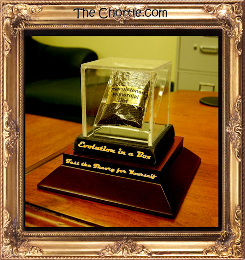 Evolution in a Box #2