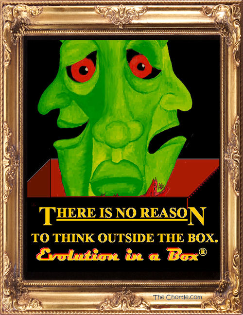 Evolution in a Box #4