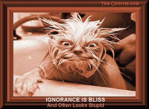 Ingorance is bliss.  And often looks stupid.