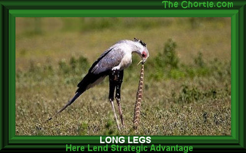 Long here lend stratigic advantage.