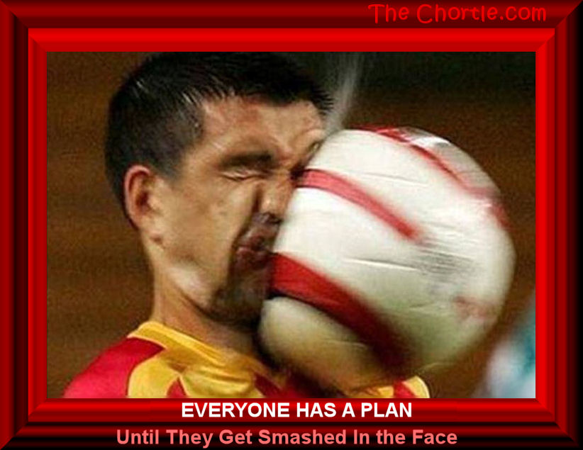 Everyone has a plan until they get smashed in the face.