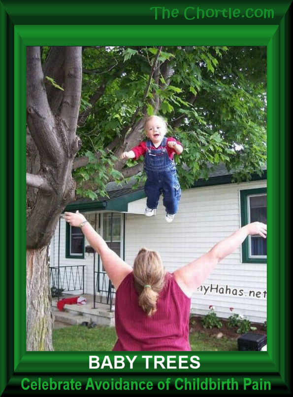 Baby Trees! Celebrate the avoidance of Childbirth Pain