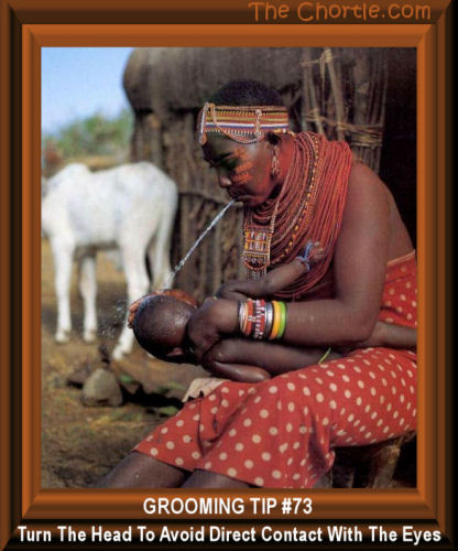 Grooming tip #73. Turn the head to avoid direct conact with the eyes.