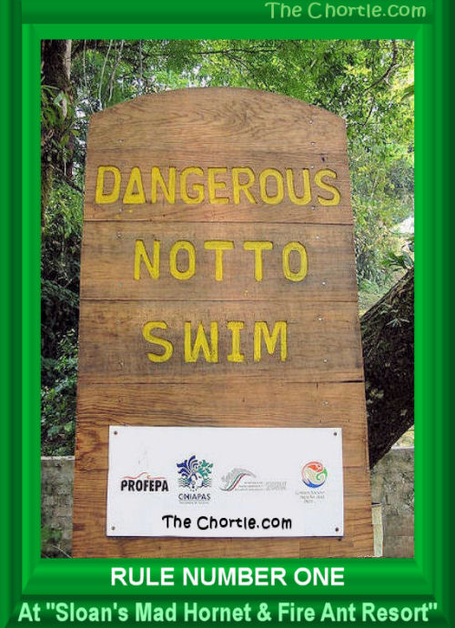 Rule number one at "Sloans Mad Hornet and Fire Ant Resort."