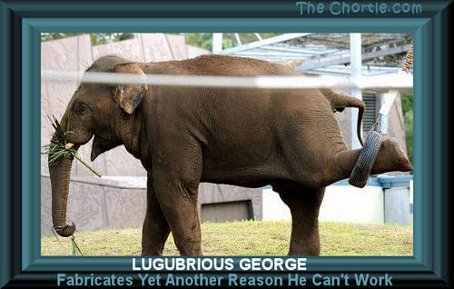  Lugubrious George fabricates yet another reason why he cannot work.