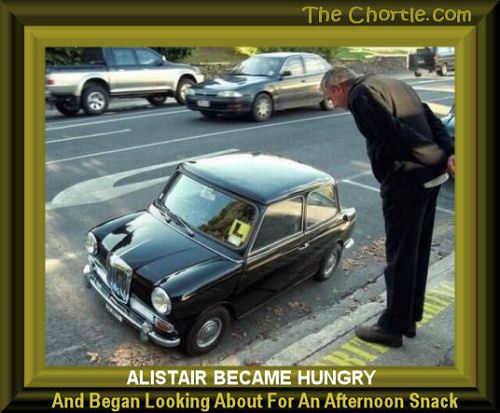 Alistair became hungry and began looking about for tn afternoon snack.