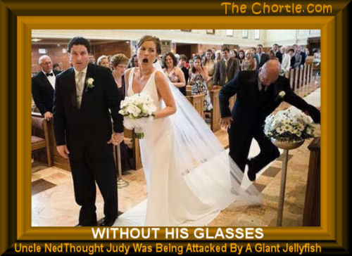 Without his glasses, Uncle Ned thought Judy was being attacked by a giant jellyfish.