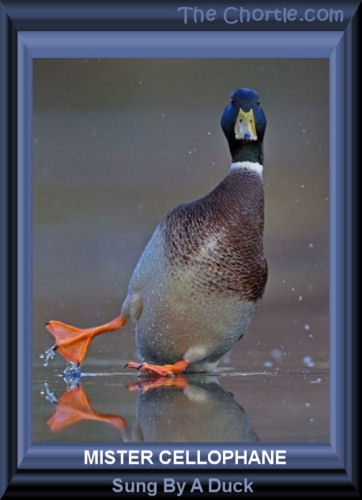 Mister Cellophane sung by a duck