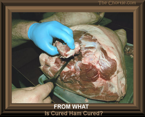 From what was cured ham cured?