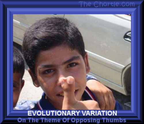 Evolutionary variation on the theme of opposing thumbs.