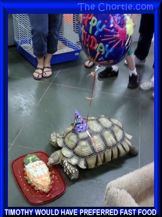 Timothy would have preferred fast food