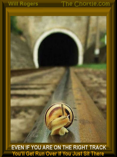Even if you are on the right track, you'll get run over if you just sit there - Will Rogers