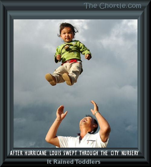 After hurricane Loius swept through the city nursery, it rained toddlers