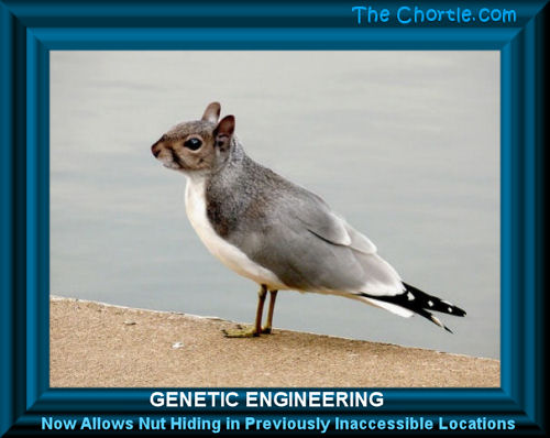 Genetic engineering now allows nut hiding in previously inaccessible location