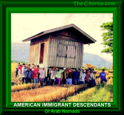 American immigrant descendants of Arab nomads