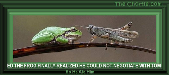 Ed the frog finally realized he could not negotiate with Tom, so he ate him