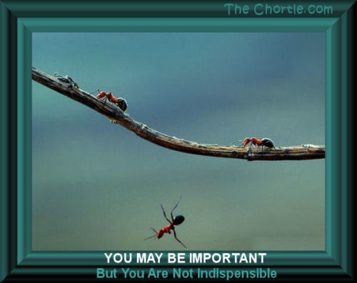 You may be important but you are not indispensible