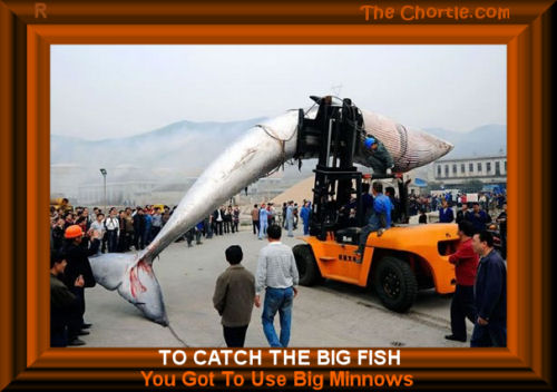 To catch the big fish, you got to use big minnows