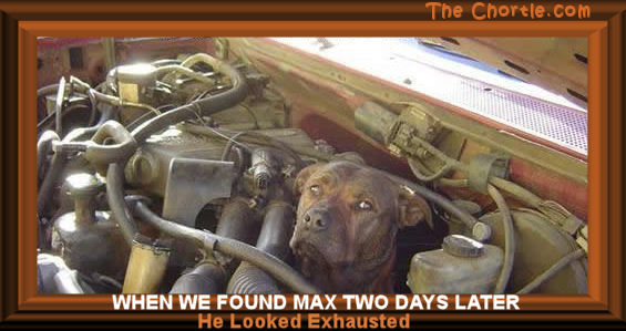 When we found Max two days later, he looked exhausted