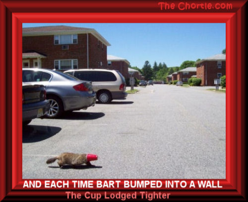 And each time Bart bumped into a wall, the cup lodged tighter.