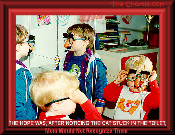 The hope was, after noticing the cat stuck in the toilet, Mom would not recognize them.