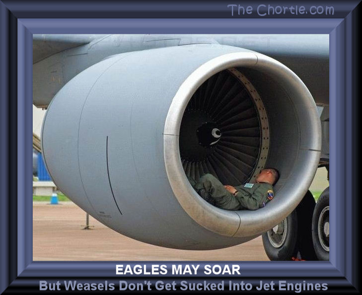 Eagles may soar, but weasels don't get sucked into jet engines. 