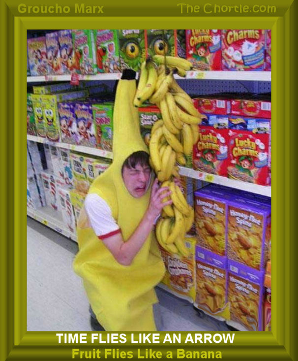 Time flies like an arrow. Fruit flies like a banana. Groucho Marx