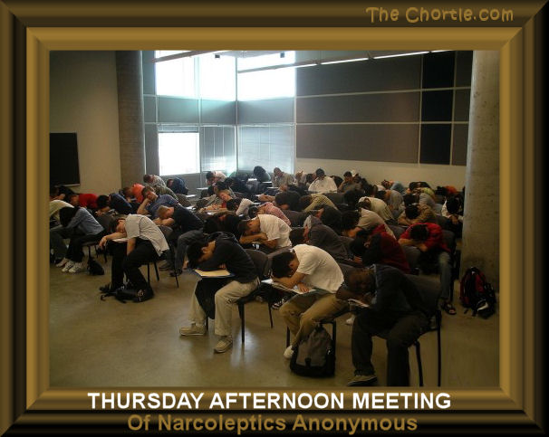 Thursday afternoon meeting of Narcoleptics Anonymous. 