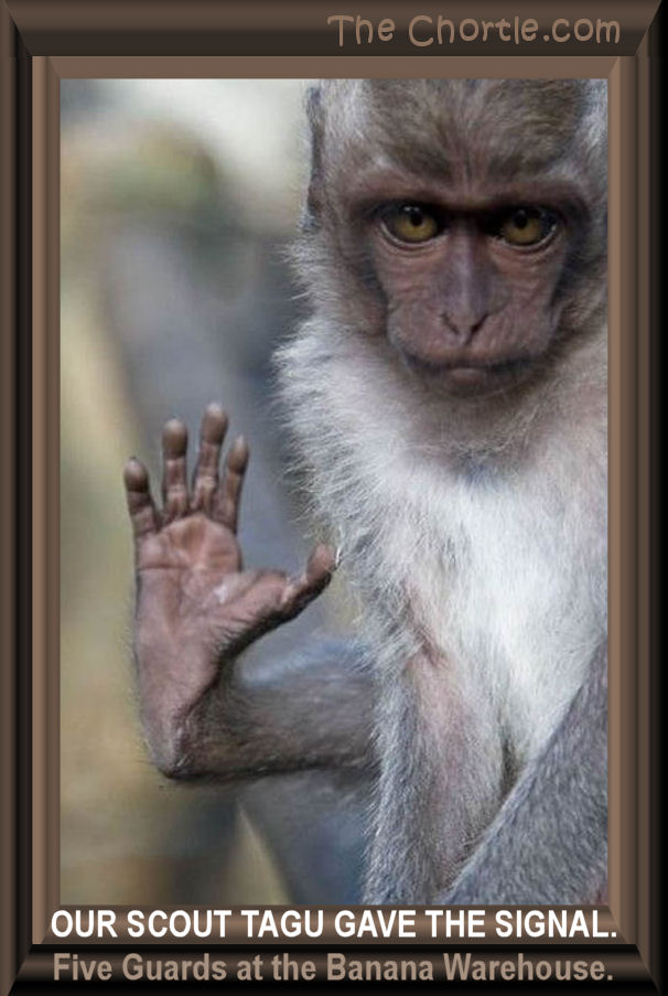 Our scout Yagu gave the signal. Five guards at the banana warehouse.