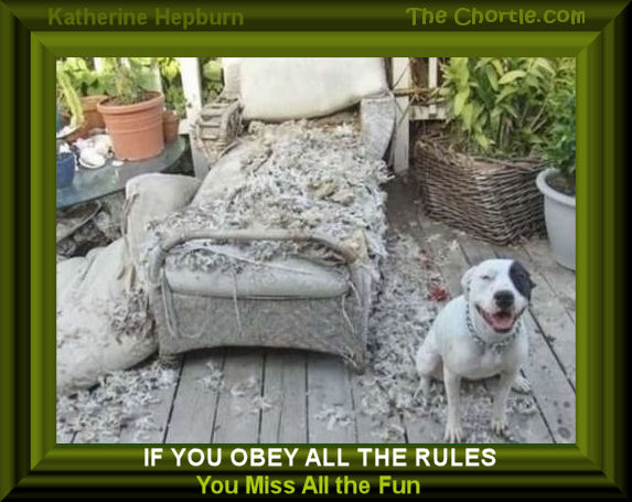 If you obey all of the rules, you miss all the fun. Katherine Hepburn.