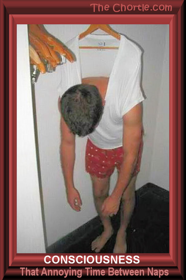 Consciousness. That annoying time between naps.