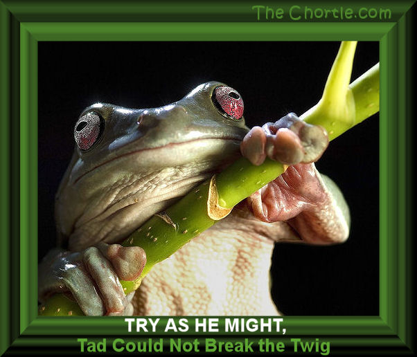 Try as he might, Tad could not break the twig. 