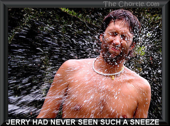 Jerry had never seen such a sneeze.