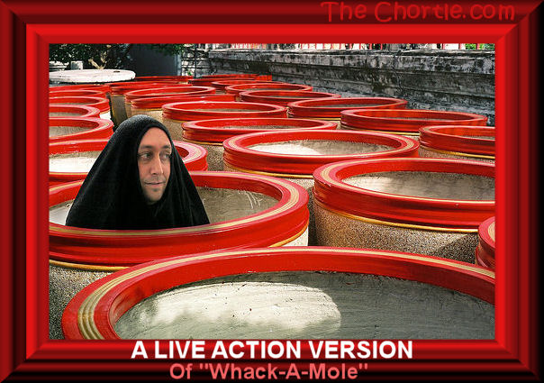 A live action version of "whack-a-mole."