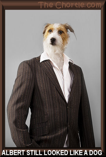 Albert still looked like a dog.