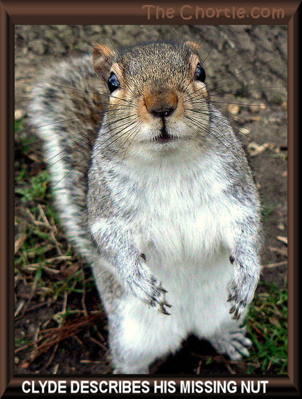 Clyde describes his missing nut.