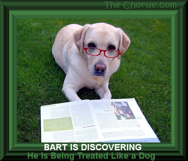 Bart is discovering he is being treated like a dog. 