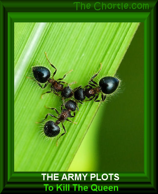 The army plots to kill the queen.