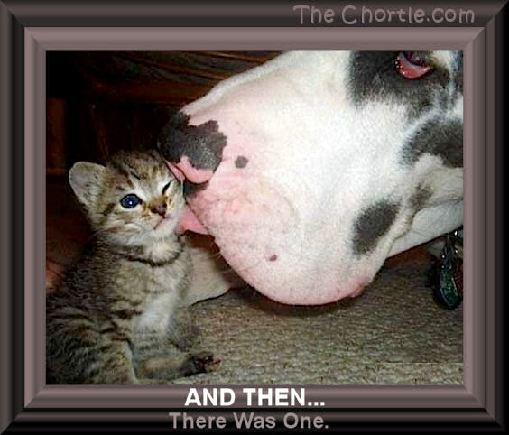 And then ... there was one.