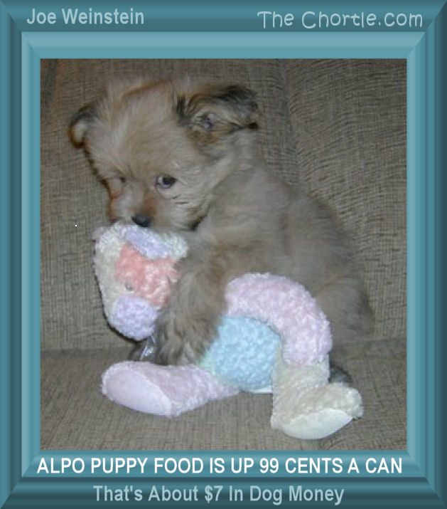 Alpo puppy food is up 99 cents a can. That's about $7 in dog money.