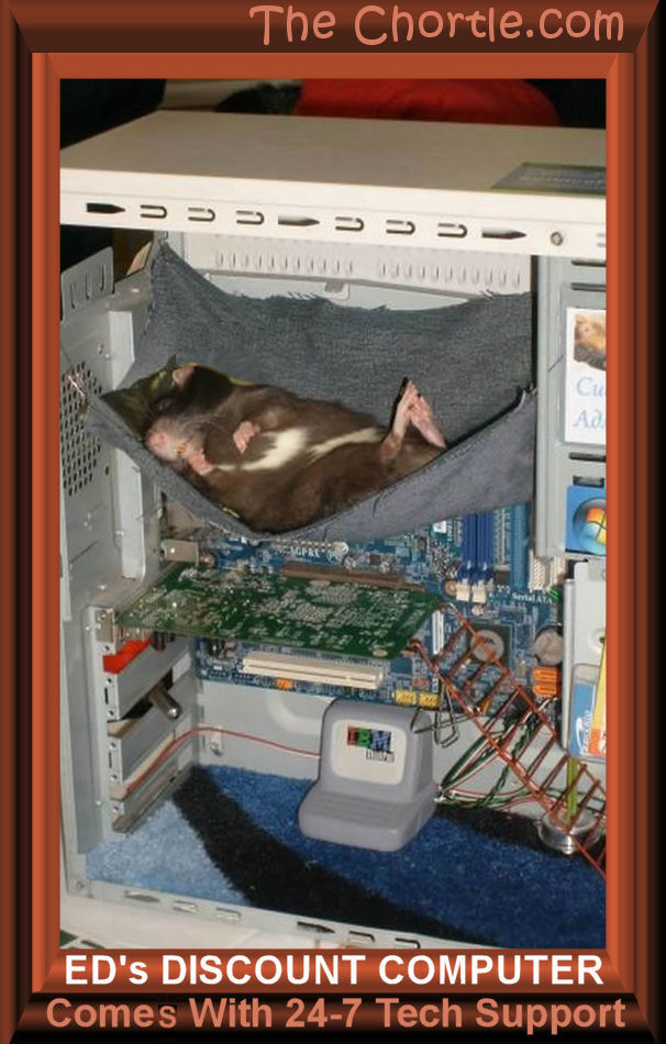 Ed's discount computer comes with 24-7 tech support.