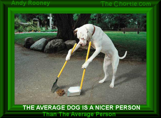 The average dog is a nicer person than the average person. Andy Rooney