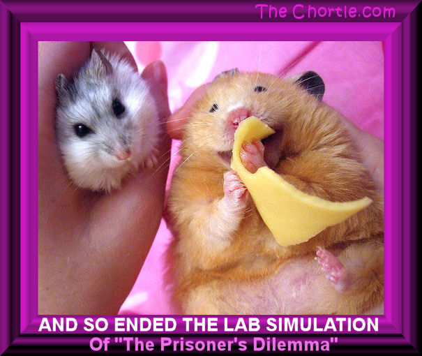 And so ended the lab simulation of "The Prisoner's Delemma"