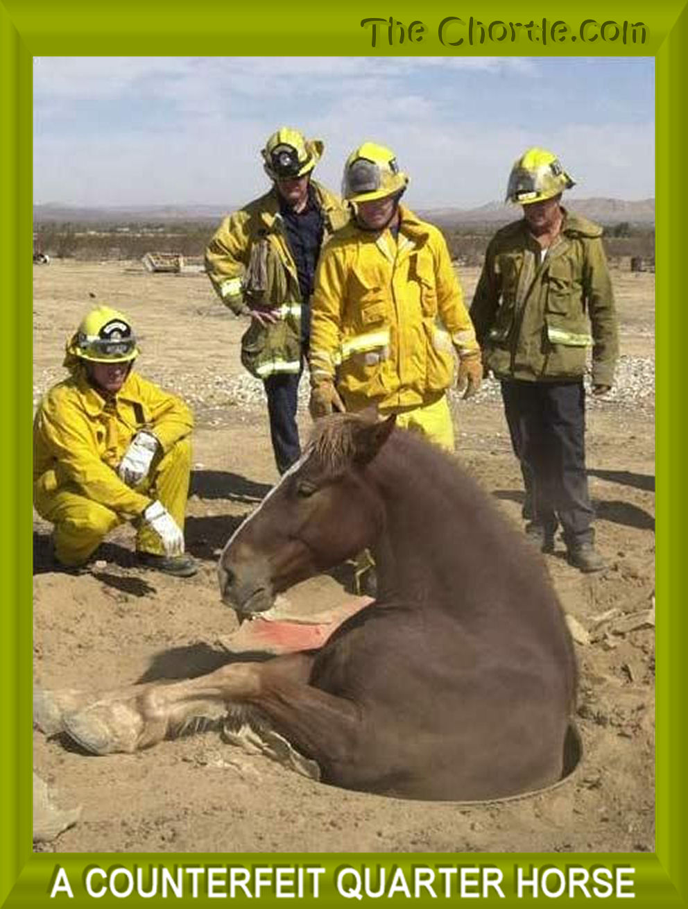 A counterfeit quarter horse