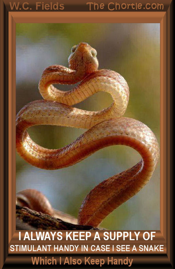 I always keel a supply of stimulant handy in case I see a snake which I also keep handy - W.C. Fields