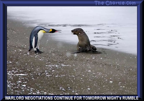 Warlord negotiations continue for tomorrow night's rumble.