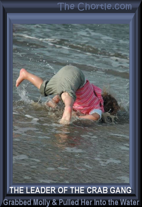 The leader of the crab gang grabbed Molly and pulled her into the water.